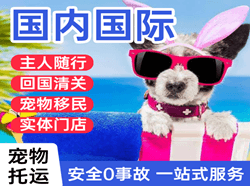 漠河航空托运国际宠物托运 【国